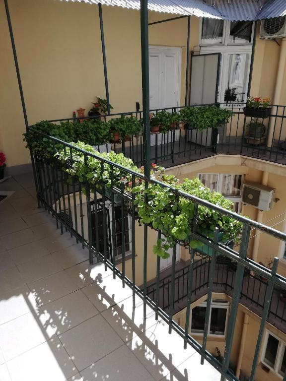Oaza 26 Deo 2 Apartment Beograd Bagian luar foto