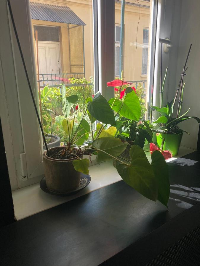 Oaza 26 Deo 2 Apartment Beograd Bagian luar foto